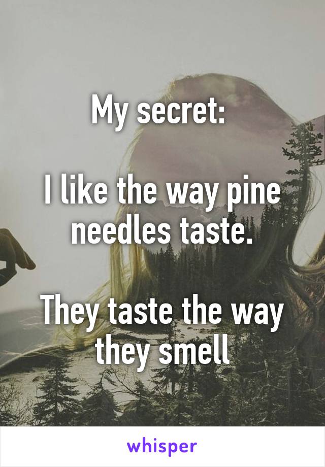 My secret: 

I like the way pine needles taste.

They taste the way they smell