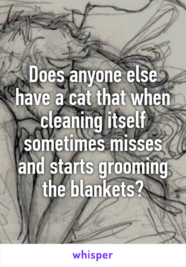 Does anyone else have a cat that when cleaning itself sometimes misses and starts grooming the blankets?