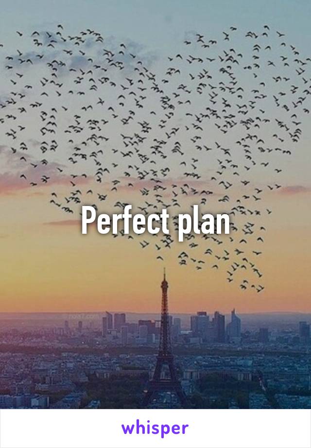 Perfect plan