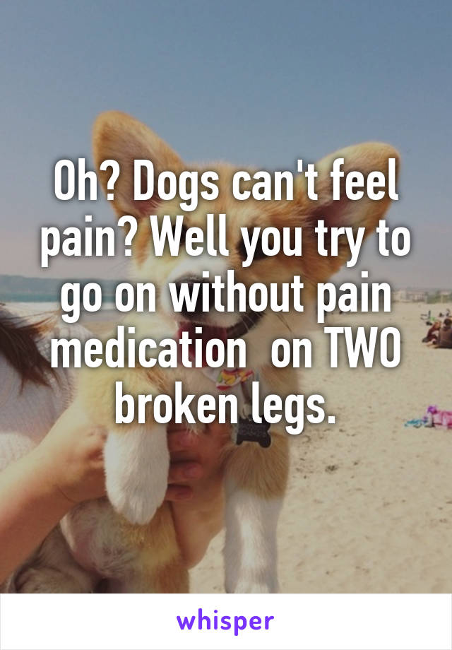 Oh? Dogs can't feel pain? Well you try to go on without pain medication  on TWO broken legs.
