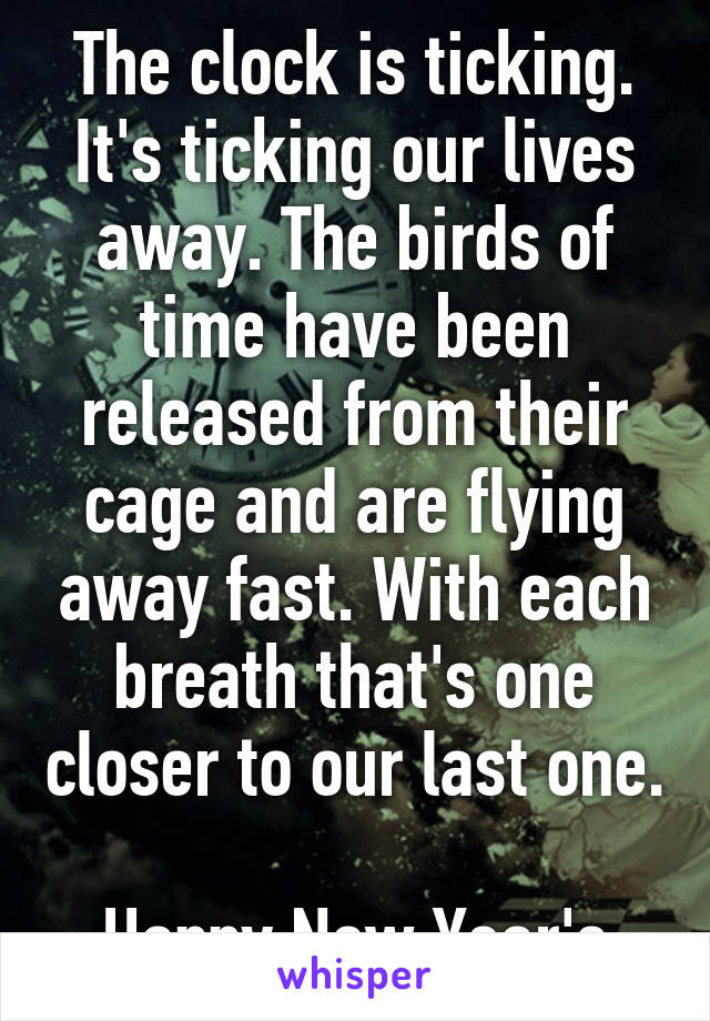 The clock is ticking. It's ticking our lives away. The birds of time have been released from their cage and are flying away fast. With each breath that's one closer to our last one.

Happy New Year's