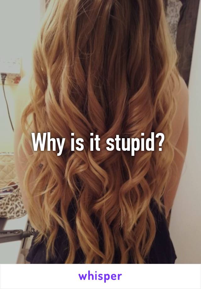 Why is it stupid? 