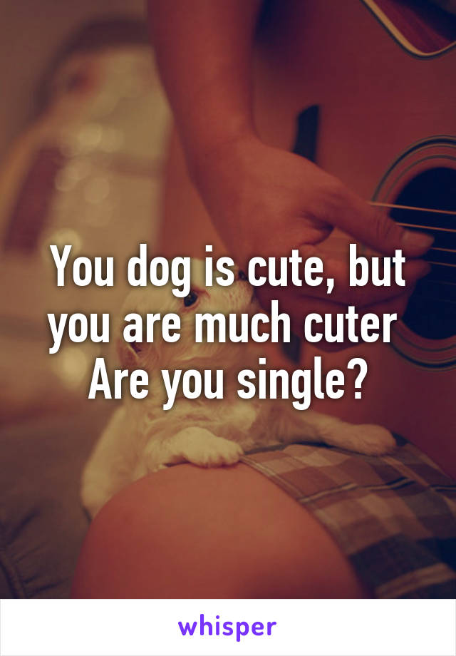 You dog is cute, but you are much cuter 
Are you single?