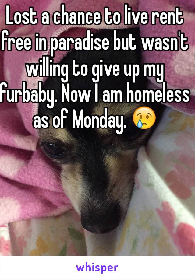 Lost a chance to live rent free in paradise but wasn't willing to give up my furbaby. Now I am homeless as of Monday. 😢