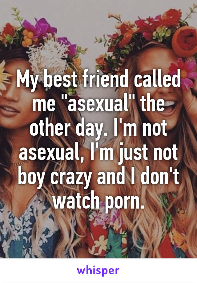 My best friend called me "asexual" the other day. I'm not asexual, I'm just not boy crazy and I don't watch porn.