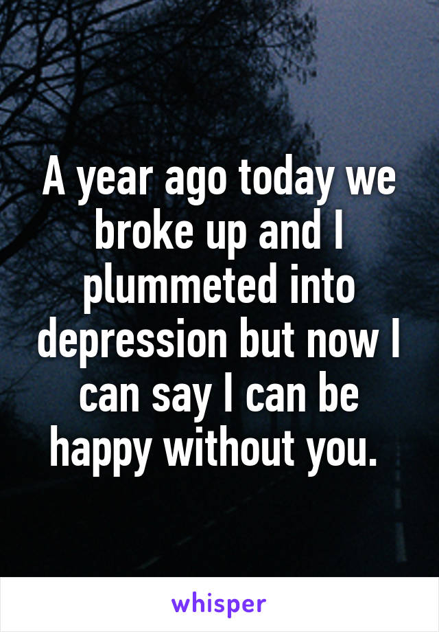 A year ago today we broke up and I plummeted into depression but now I can say I can be happy without you. 