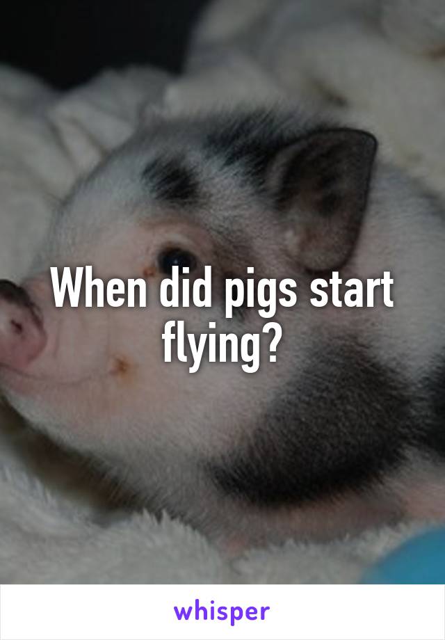 When did pigs start flying?