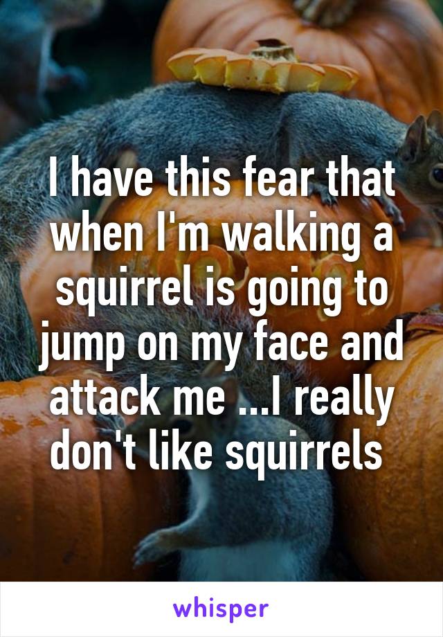 I have this fear that when I'm walking a squirrel is going to jump on my face and attack me ...I really don't like squirrels 