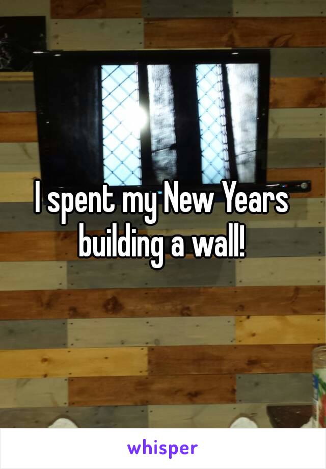 I spent my New Years building a wall! 