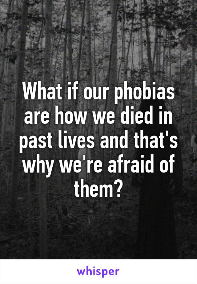 What if our phobias are how we died in past lives and that's why we're afraid of them?