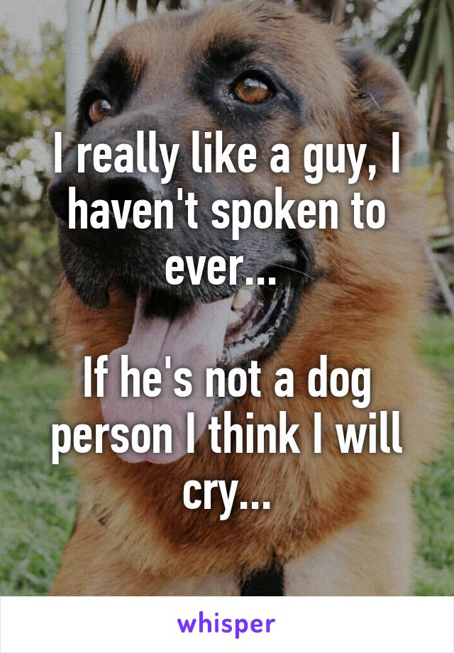 I really like a guy, I haven't spoken to ever... 

If he's not a dog person I think I will cry...