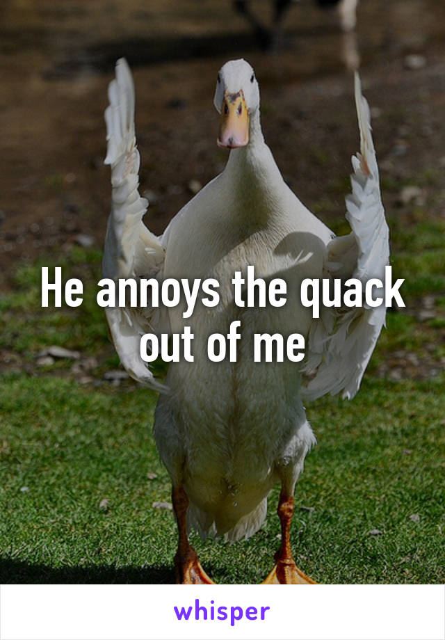 He annoys the quack out of me