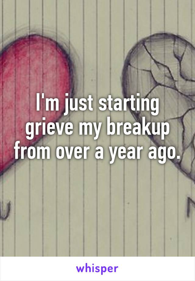 I'm just starting grieve my breakup from over a year ago. 