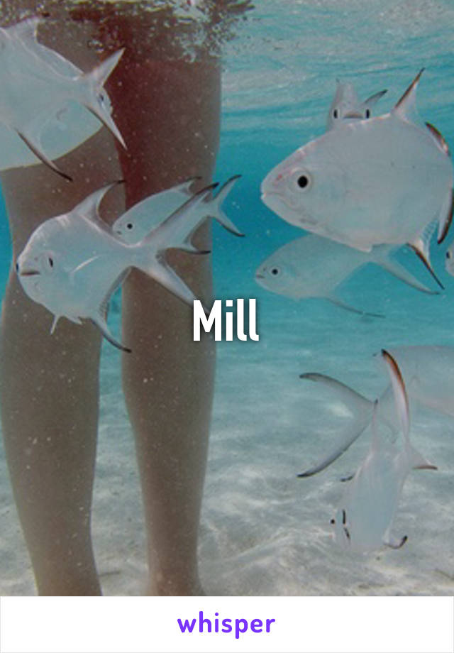 Mill