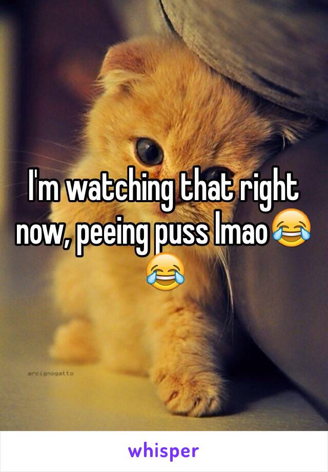 I'm watching that right now, peeing puss lmao😂😂