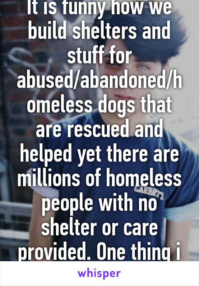 It is funny how we build shelters and stuff for abused/abandoned/homeless dogs that are rescued and helped yet there are millions of homeless people with no shelter or care provided. One thing i hate