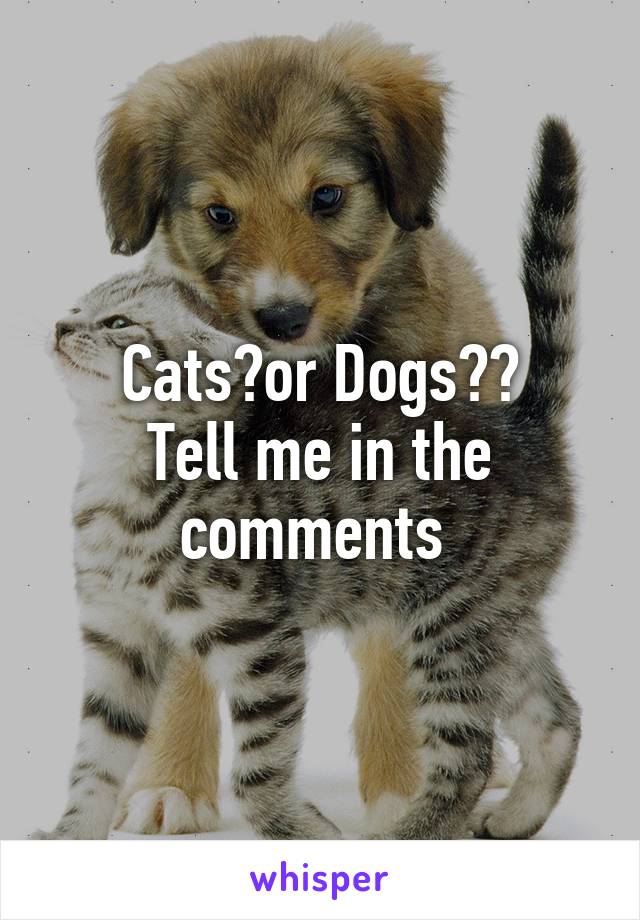 Cats🐱or Dogs🐶?
Tell me in the comments 