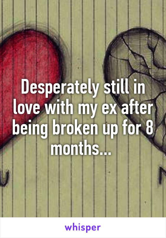 Desperately still in love with my ex after being broken up for 8 months... 