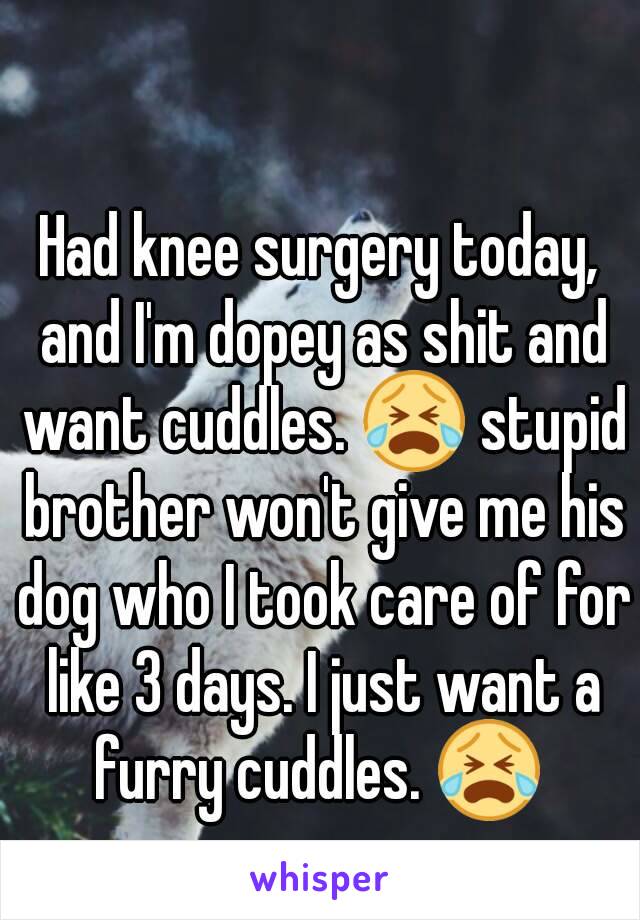 Had knee surgery today, and I'm dopey as shit and want cuddles. 😭 stupid brother won't give me his dog who I took care of for like 3 days. I just want a furry cuddles. 😭 