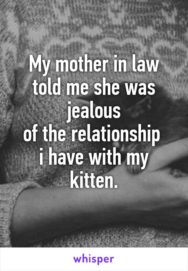 My mother in law
told me she was jealous
of the relationship 
i have with my kitten.
