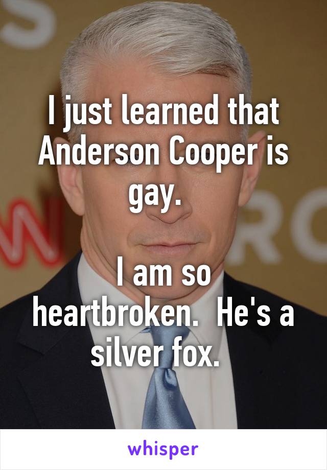 I just learned that Anderson Cooper is gay.  

I am so heartbroken.  He's a silver fox.  