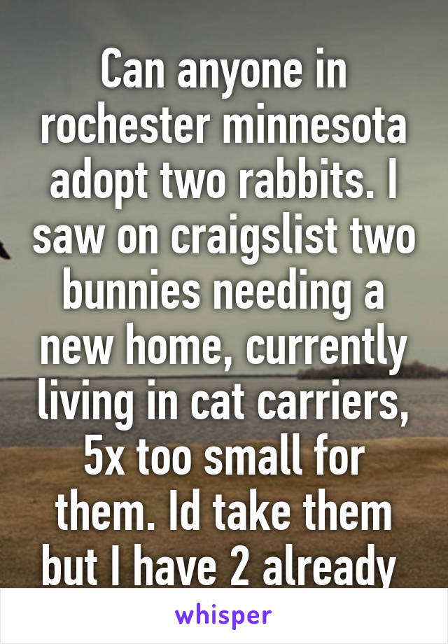 Can anyone in rochester minnesota adopt two rabbits. I saw on craigslist two bunnies needing a new home, currently living in cat carriers, 5x too small for them. Id take them but I have 2 already 