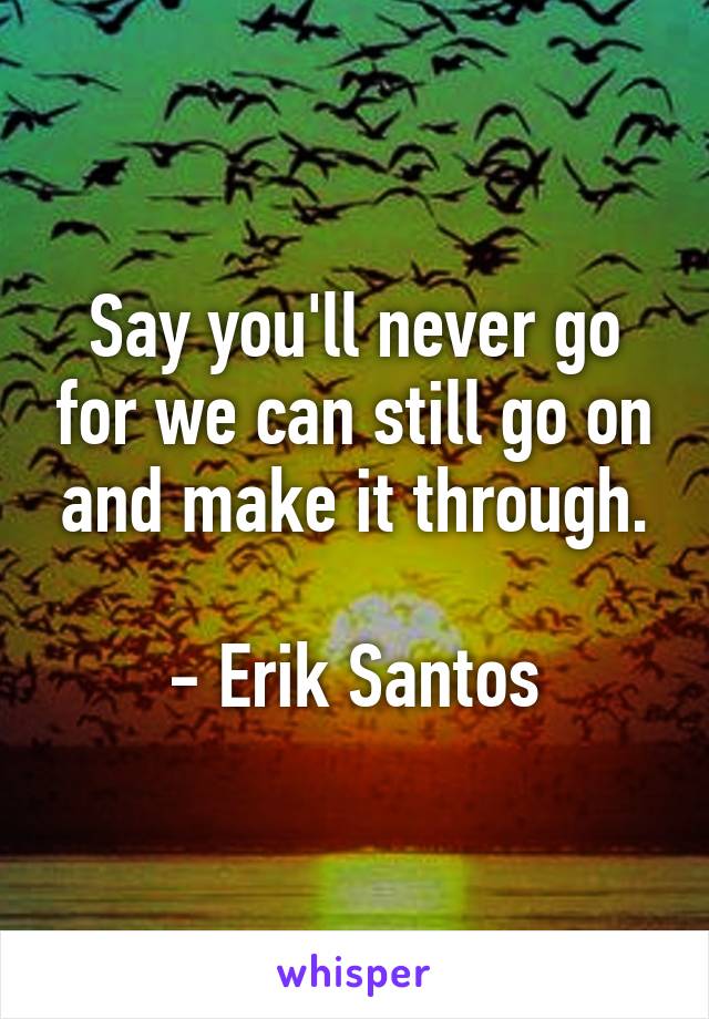 Say you'll never go for we can still go on and make it through.

- Erik Santos