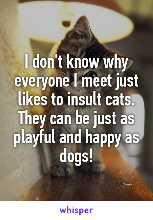 I don't know why everyone I meet just likes to insult cats. They can be just as playful and happy as dogs!