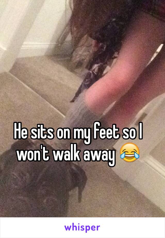 He sits on my feet so I won't walk away 😂