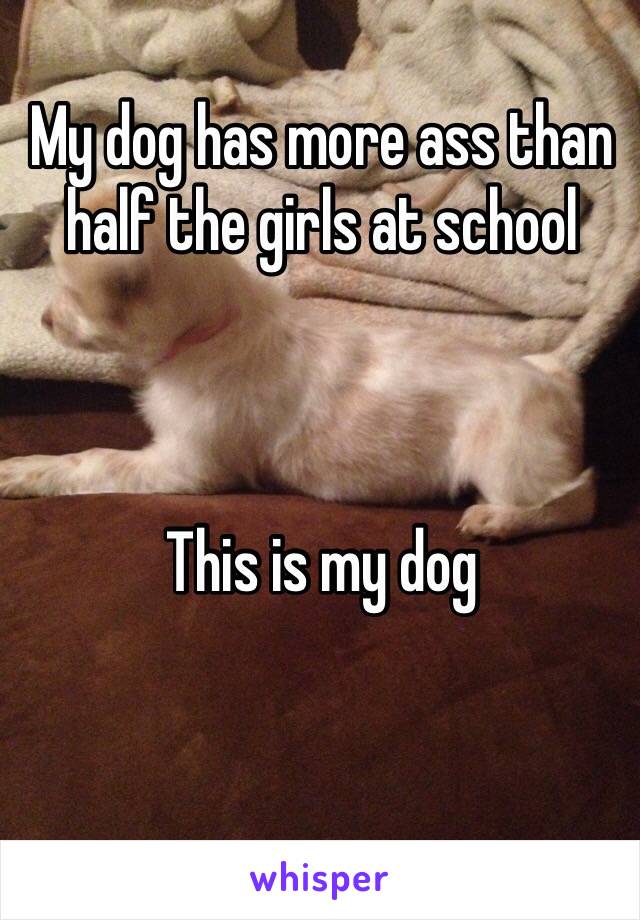 My dog has more ass than half the girls at school 



This is my dog