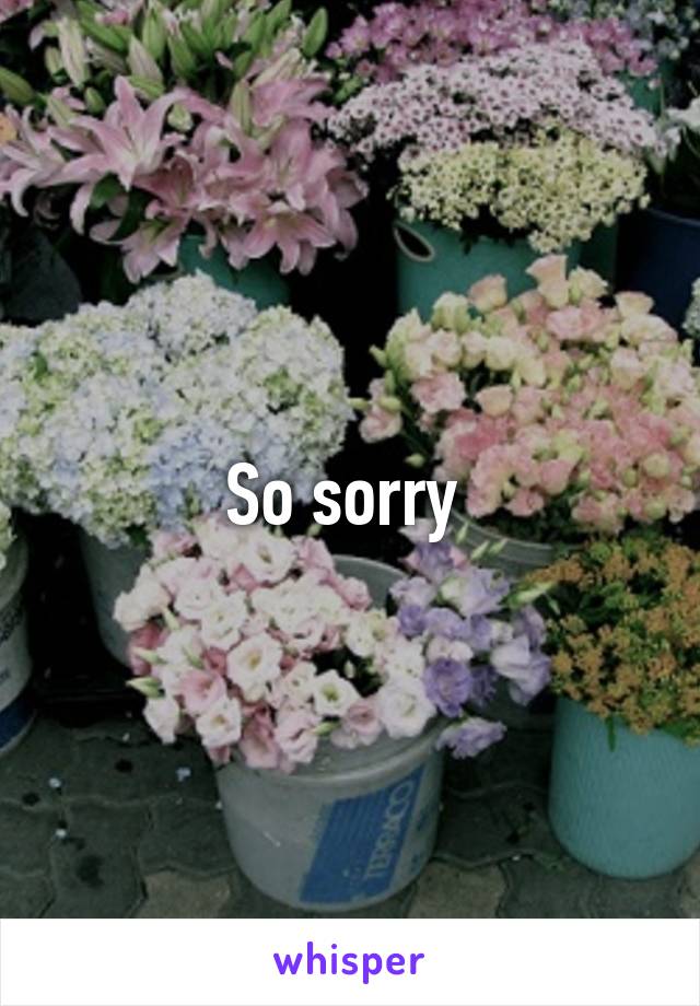 So sorry 