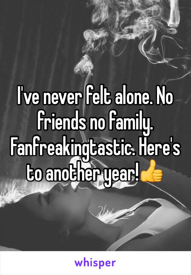 I've never felt alone. No friends no family. Fanfreakingtastic. Here's to another year!👍