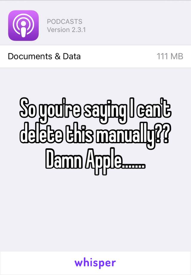 So you're saying I can't delete this manually??
Damn Apple.......