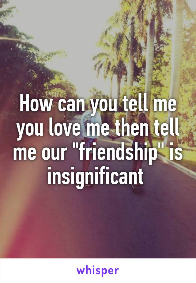 How can you tell me you love me then tell me our "friendship" is insignificant 