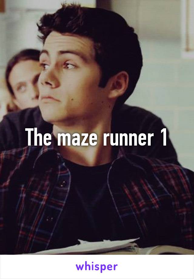 The maze runner 1