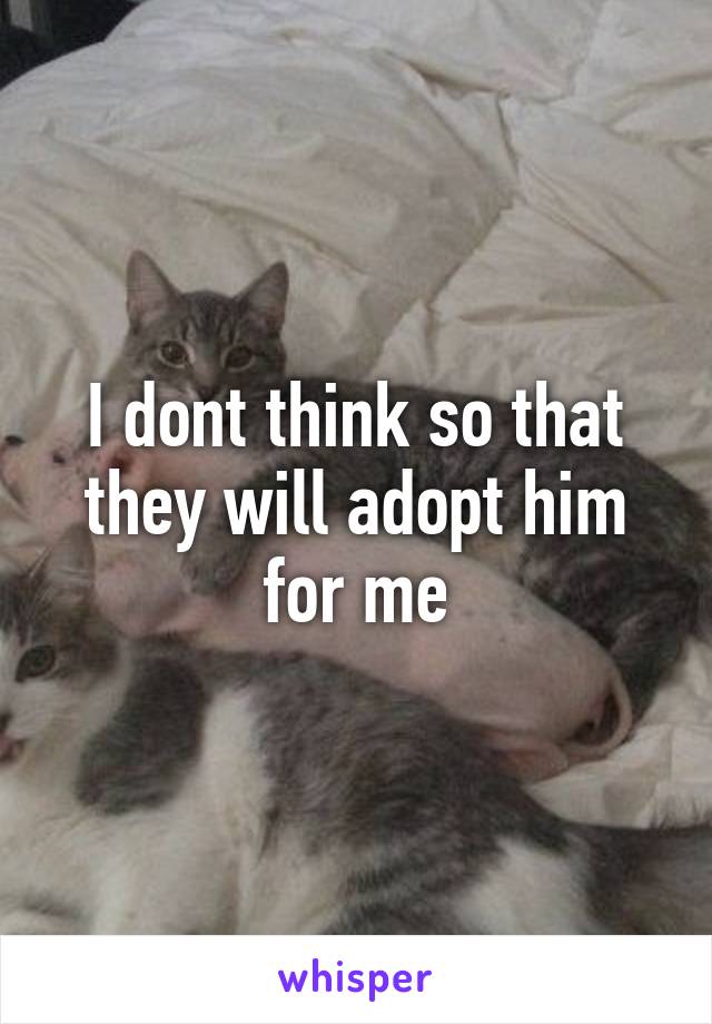 I dont think so that they will adopt him for me