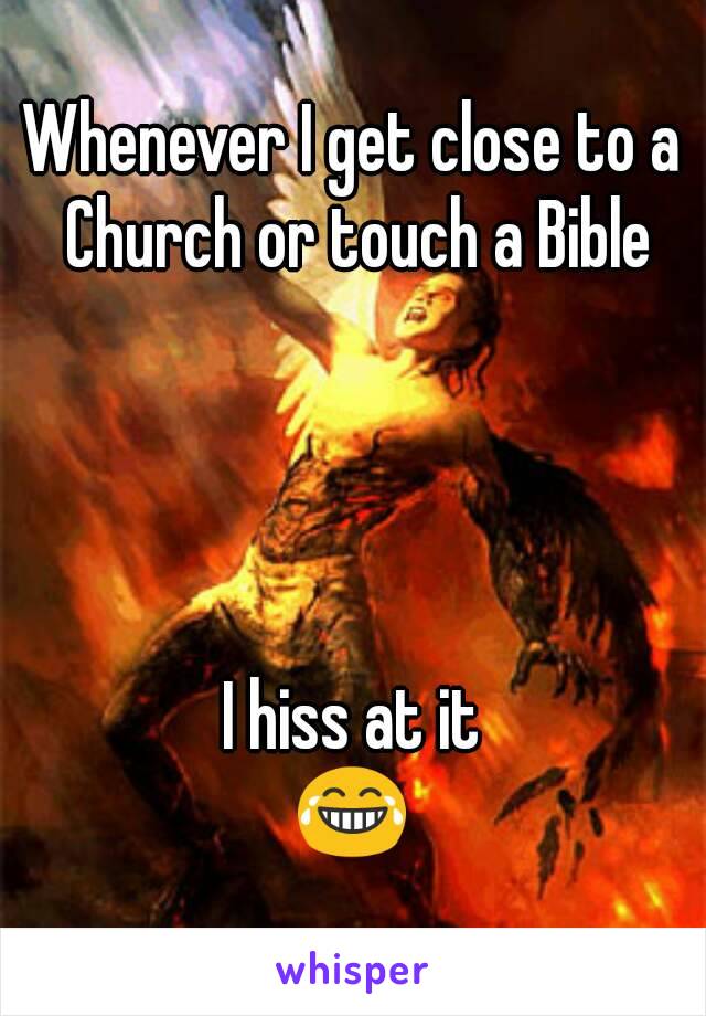 Whenever I get close to a Church or touch a Bible




I hiss at it
😂