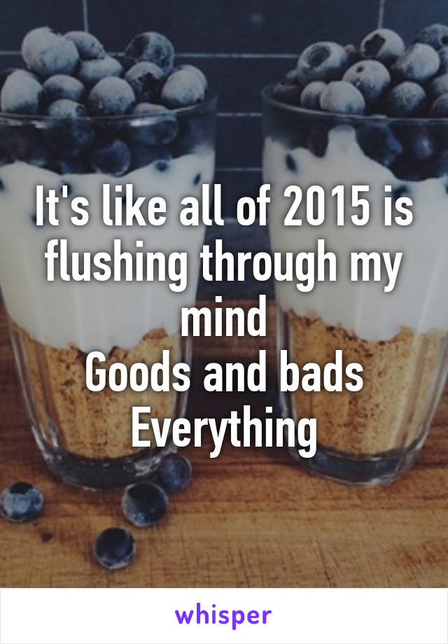 It's like all of 2015 is flushing through my mind
Goods and bads
Everything