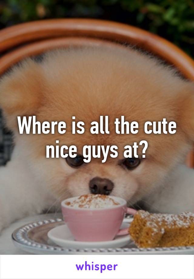 Where is all the cute nice guys at?