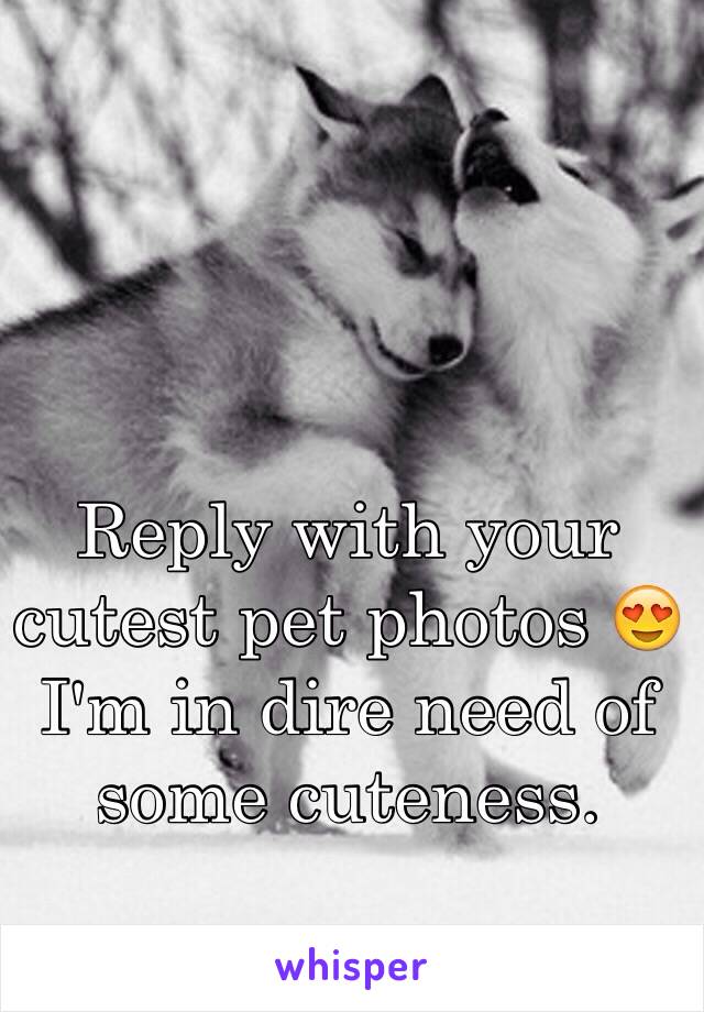 Reply with your cutest pet photos 😍
I'm in dire need of some cuteness.