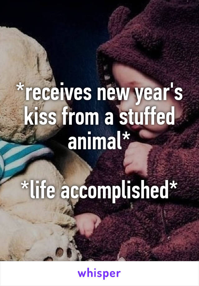 *receives new year's kiss from a stuffed animal*

*life accomplished*