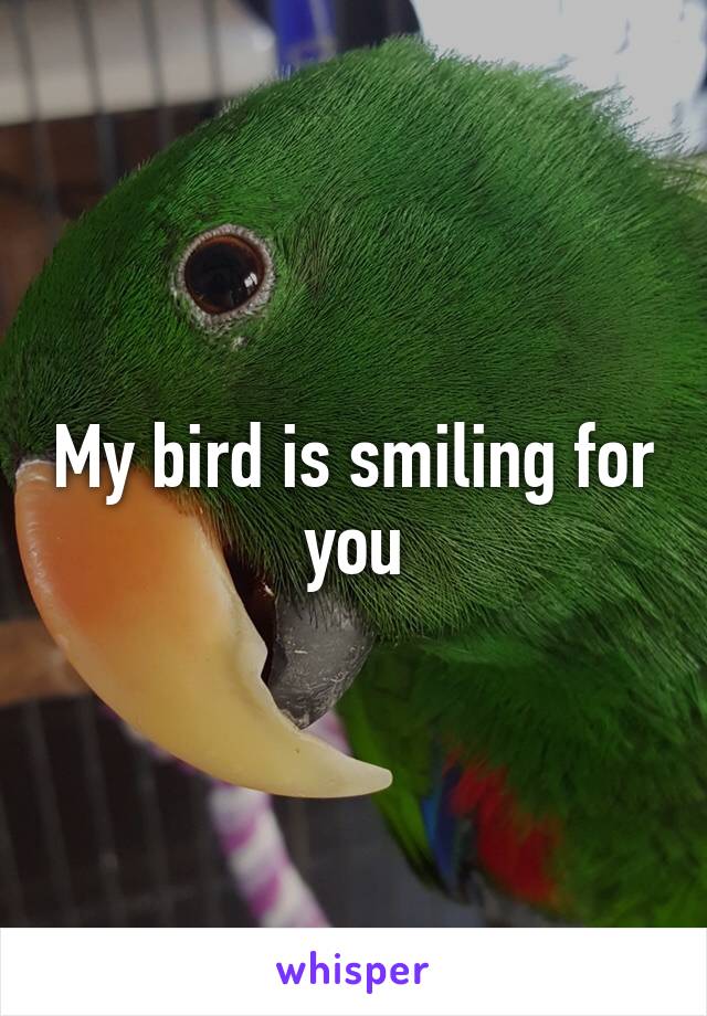 My bird is smiling for you