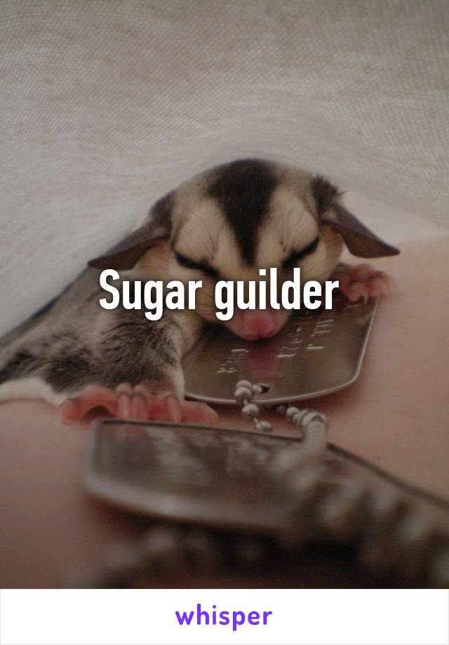 Sugar guilder 
