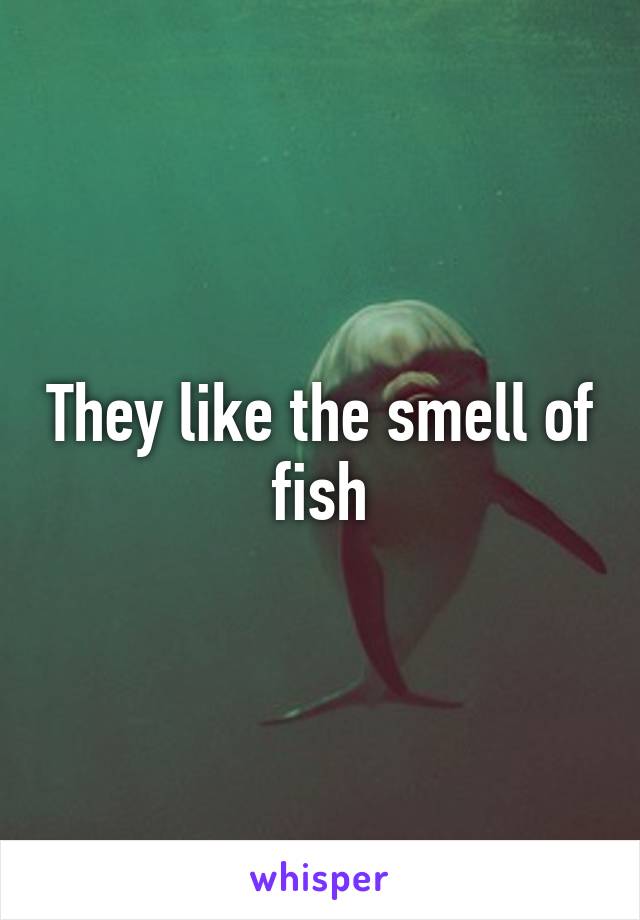 They like the smell of fish