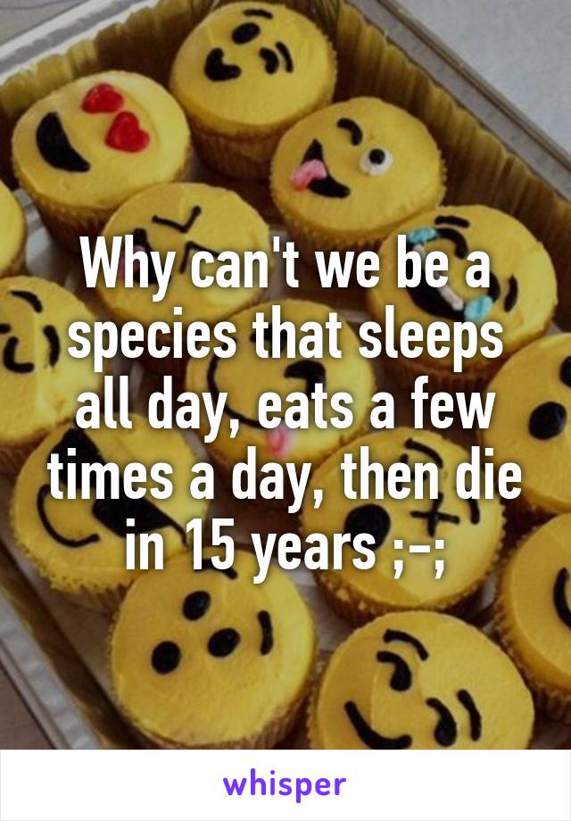 Why can't we be a species that sleeps all day, eats a few times a day, then die in 15 years ;-;