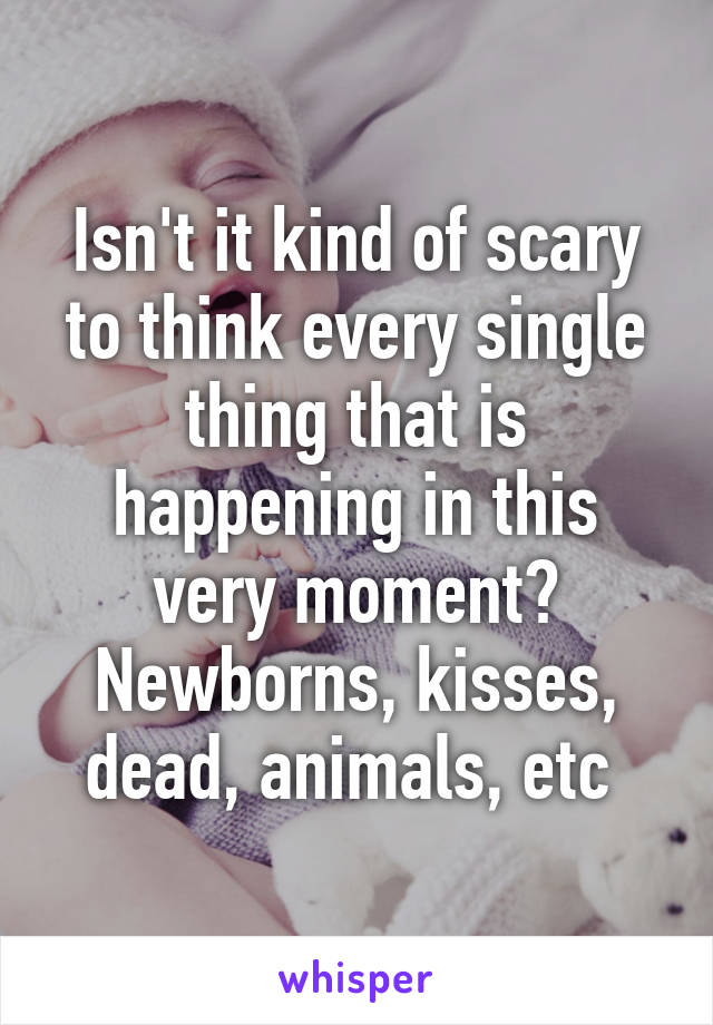 Isn't it kind of scary to think every single thing that is happening in this very moment? Newborns, kisses, dead, animals, etc 