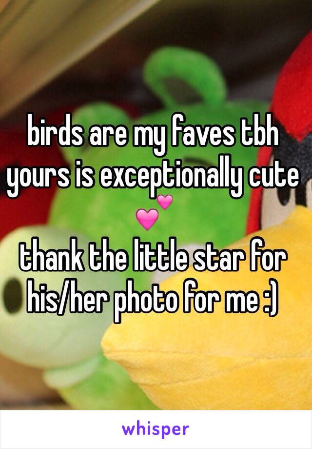 birds are my faves tbh
yours is exceptionally cute 💕
thank the little star for his/her photo for me :)