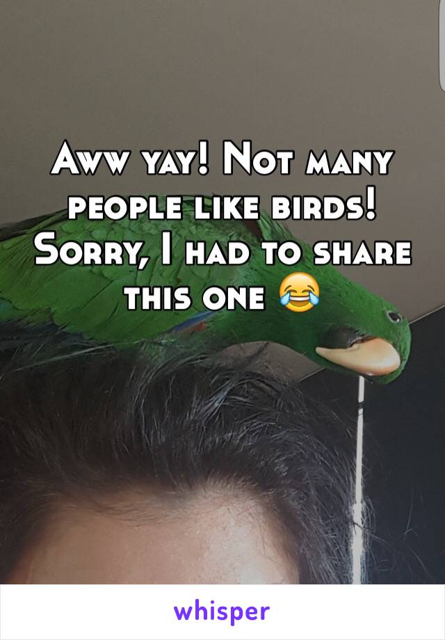 Aww yay! Not many people like birds! Sorry, I had to share this one 😂