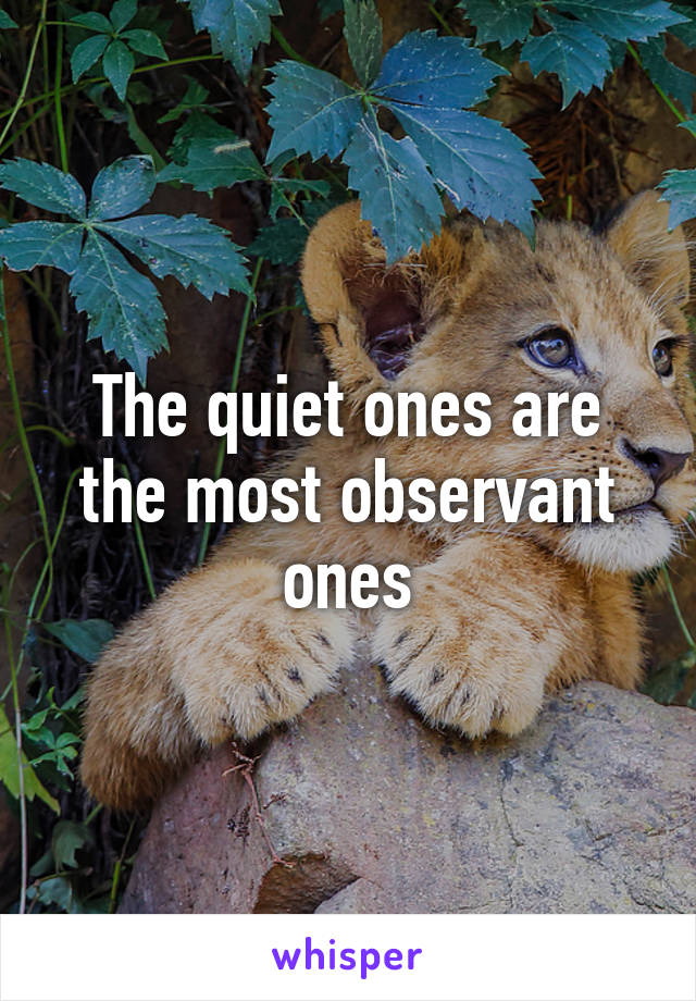 The quiet ones are the most observant ones