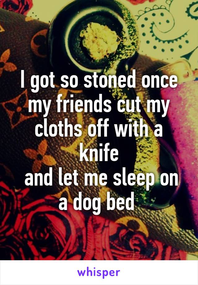 I got so stoned once my friends cut my cloths off with a knife
 and let me sleep on a dog bed 